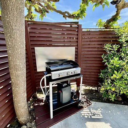 Mazet Climatise Avec Parking Et Piscine - Fr-1-816-26 * Le Lavandou